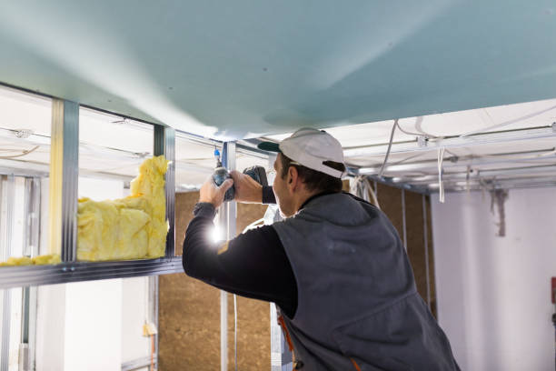 Best Attic Insulation Installation  in East Grand Forks, MN