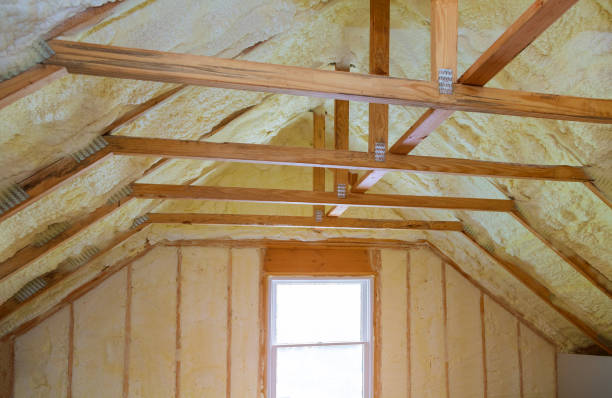 Insulation Repair Services in East Grand Forks, MN