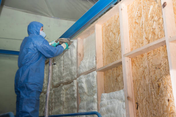 Insulation Replacement Services in East Grand Forks, MN