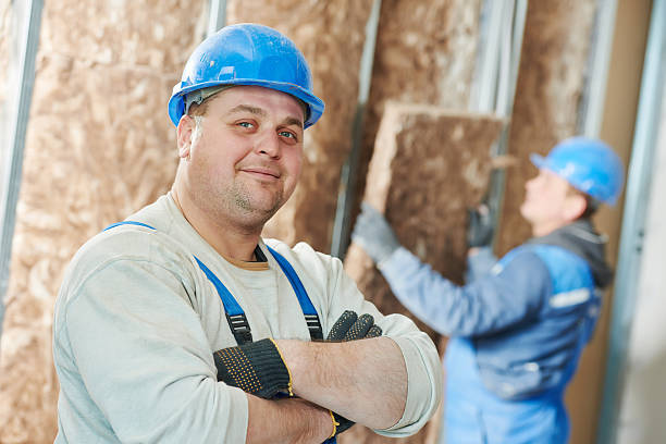 Best Local Insulation Services  in East Grand Forks, MN