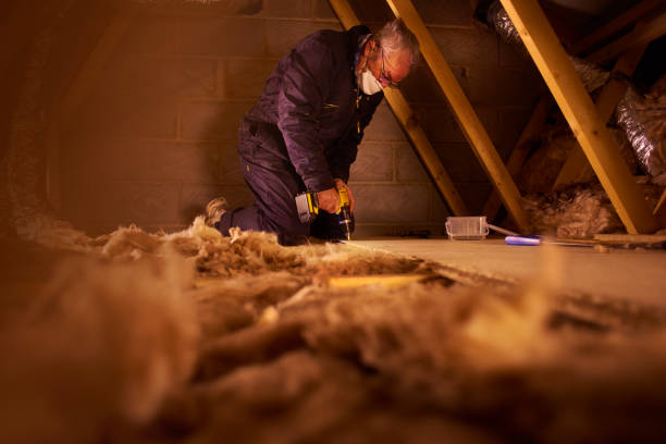Best Soundproof Insulation Installation  in East Grand Forks, MN
